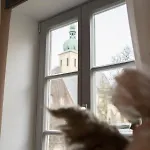 Lejlighed Urlaubsfreude Biedermann Haus Blumenglueck - Rose